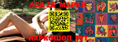 гидропоника Новодвинск