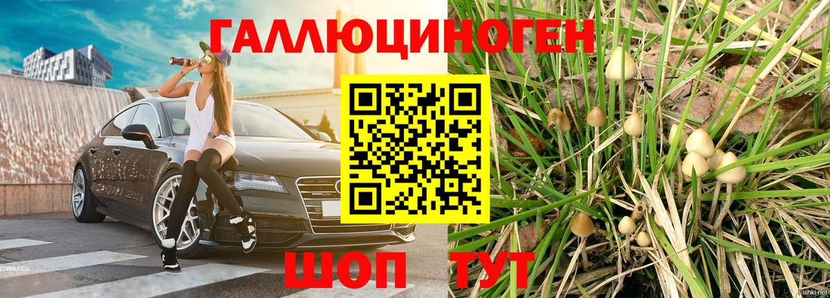 Балашов  Псилоцибиновые грибы ЛСД  Вход с VPN 